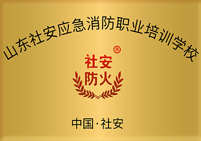 山东社安应急消防职业培训学校校名牌匾原图